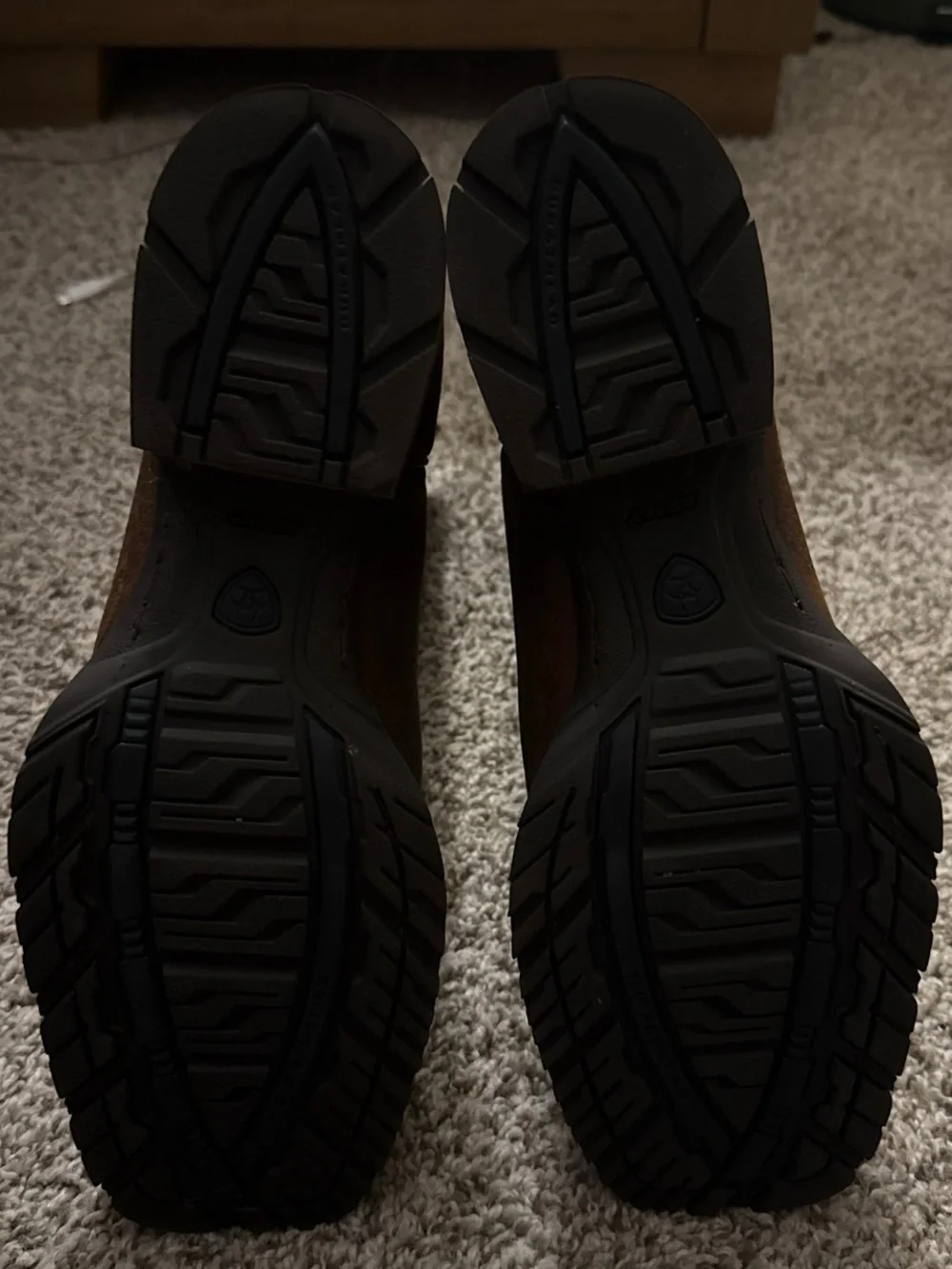 Ariat Tan Leather Shoe Interior with Branded Stamp